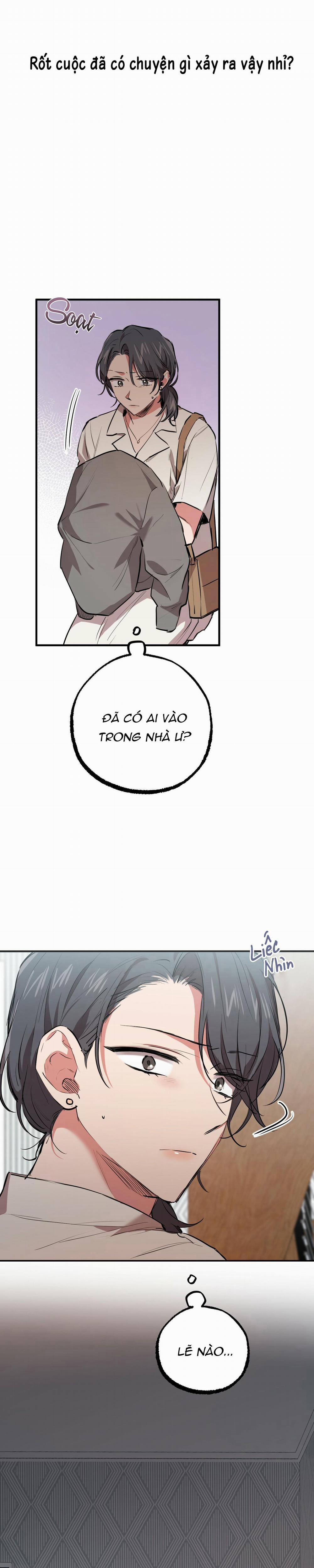 Những Chú Thỏ Của Habibi 30 trang 1