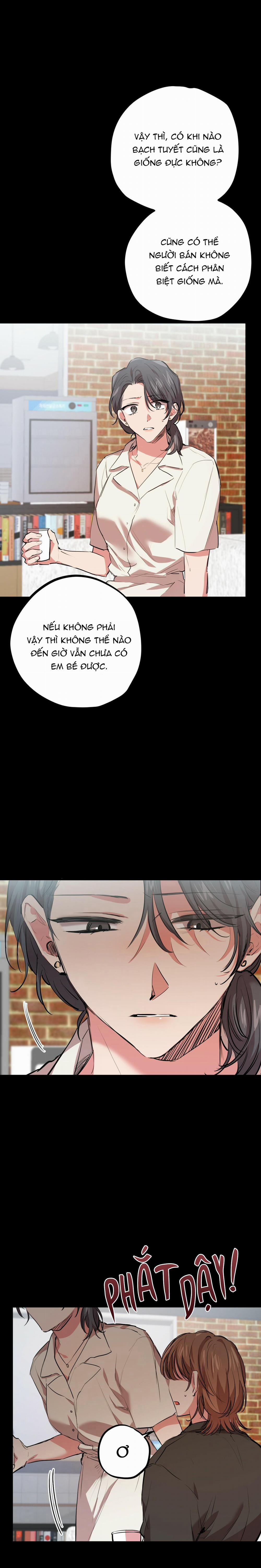 Những Chú Thỏ Của Habibi 30 trang 10