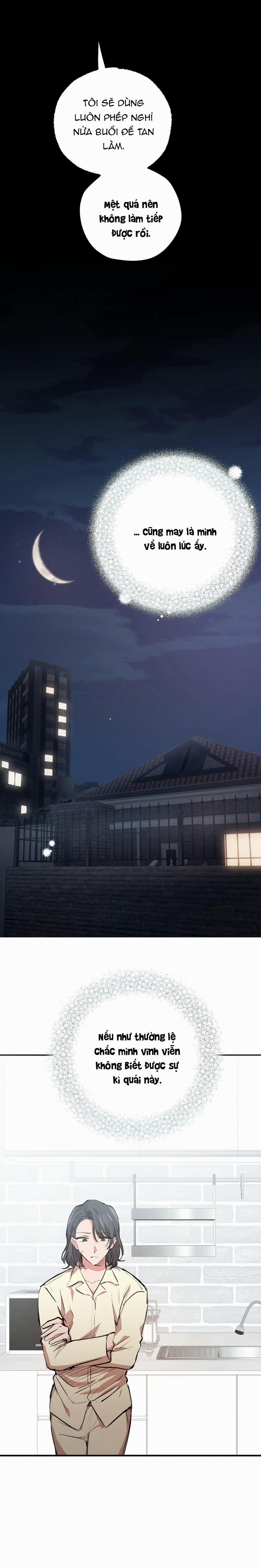 Những Chú Thỏ Của Habibi 30 trang 11