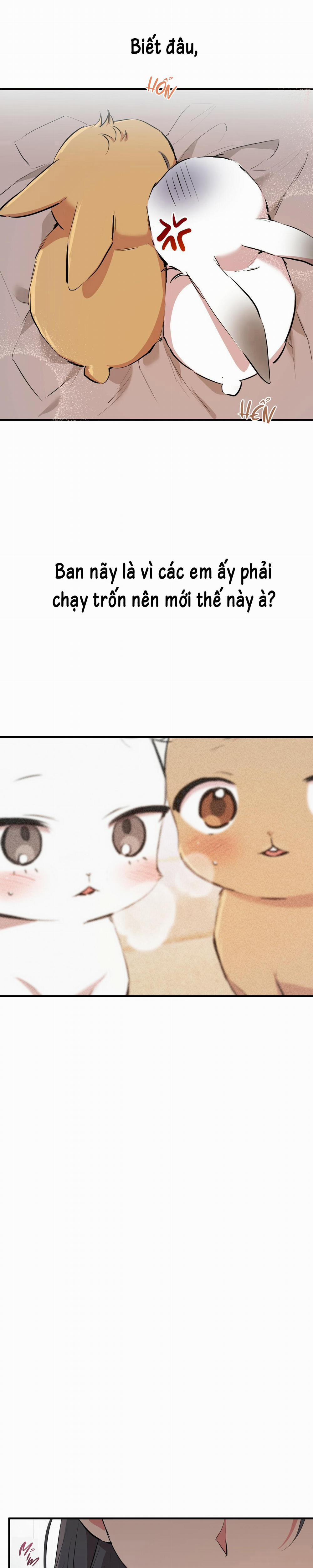 Những Chú Thỏ Của Habibi 30 trang 14