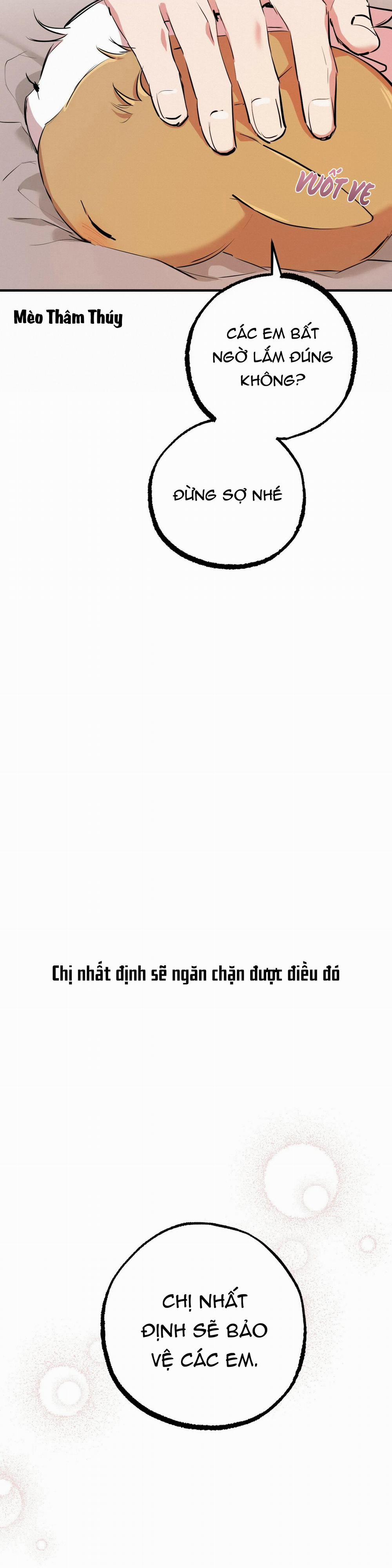 Những Chú Thỏ Của Habibi 30 trang 16