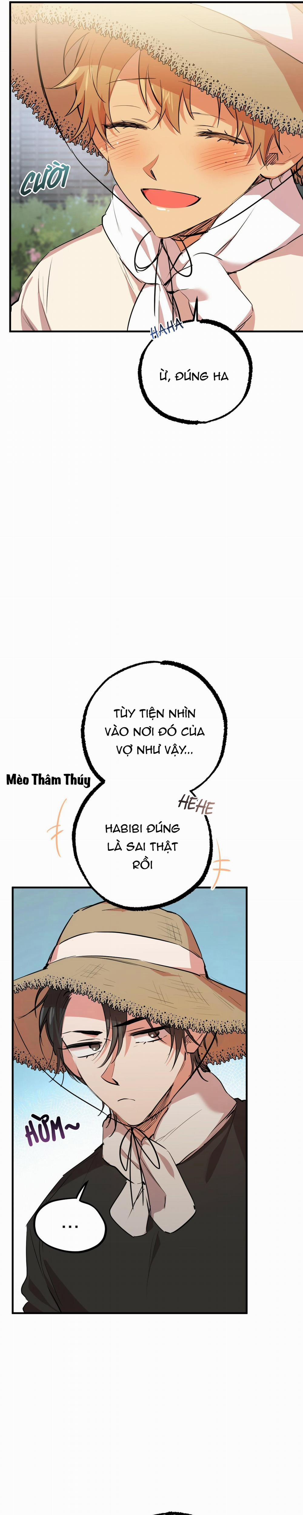 Những Chú Thỏ Của Habibi 30 trang 20