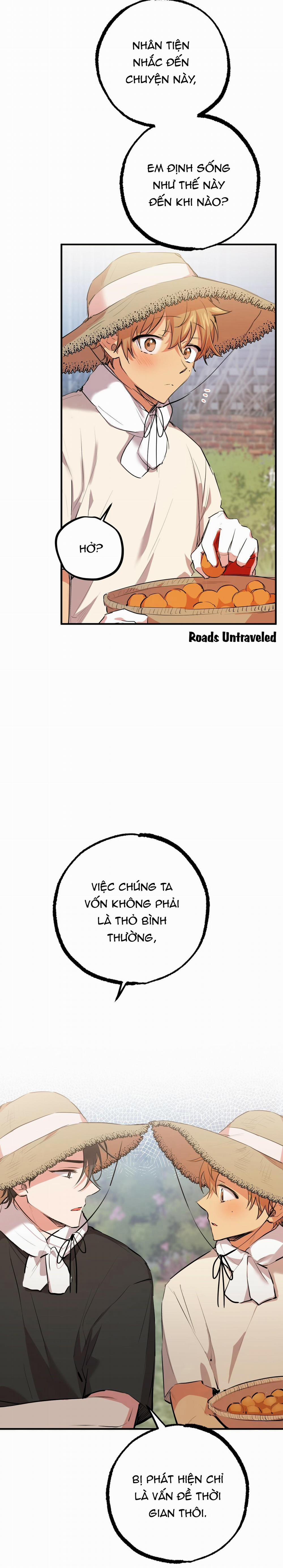 Những Chú Thỏ Của Habibi 30 trang 21