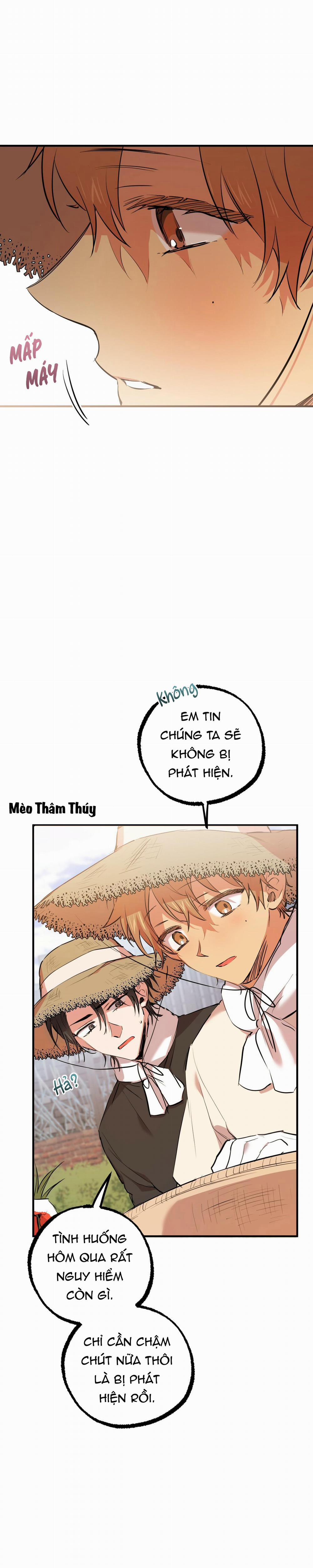 Những Chú Thỏ Của Habibi 30 trang 22