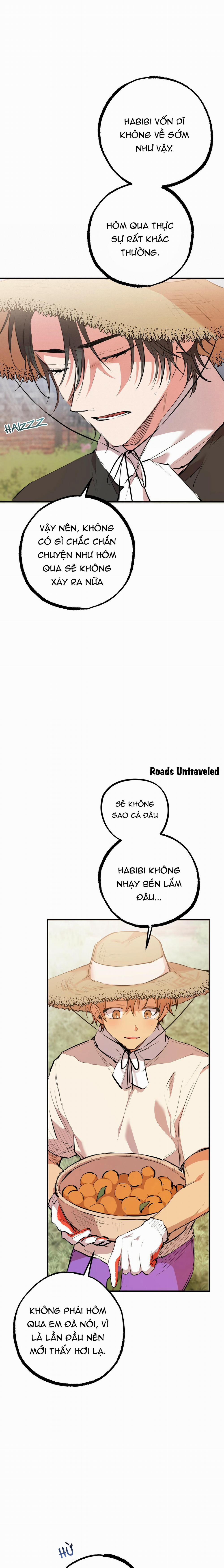 Những Chú Thỏ Của Habibi 30 trang 23