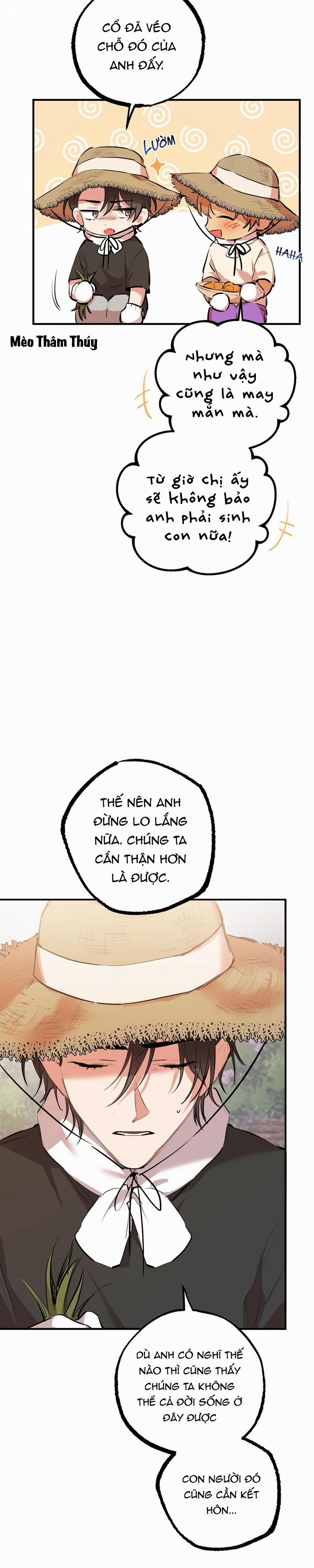 Những Chú Thỏ Của Habibi 30 trang 24