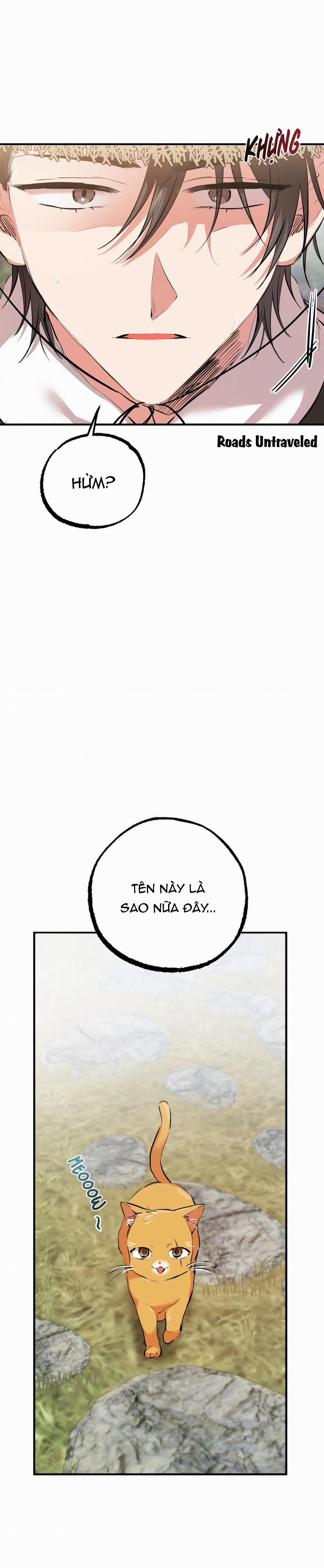 Những Chú Thỏ Của Habibi 30 trang 25