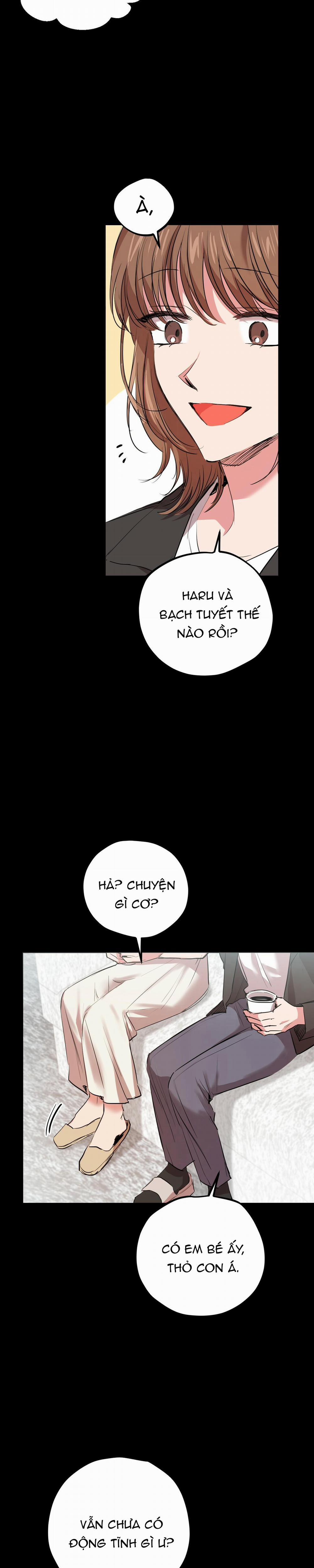 Những Chú Thỏ Của Habibi 30 trang 6