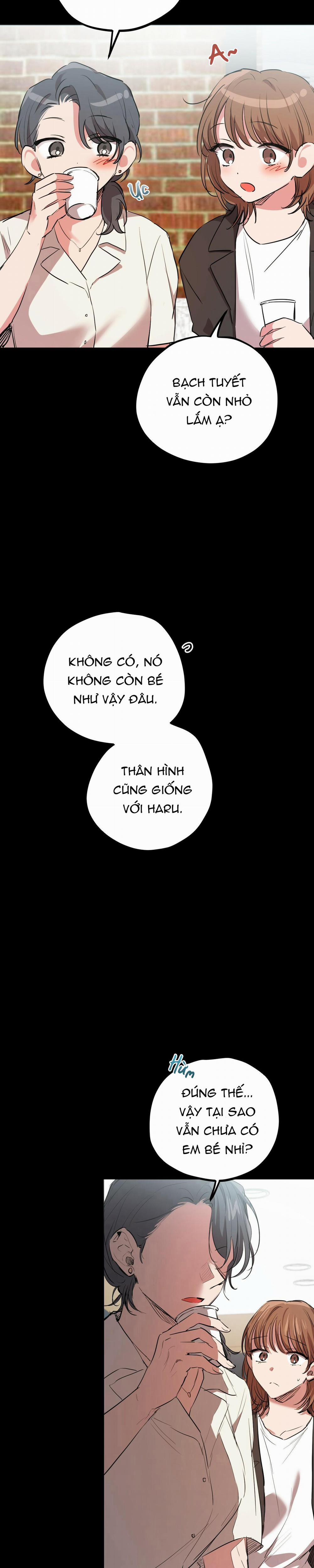 Những Chú Thỏ Của Habibi 30 trang 7