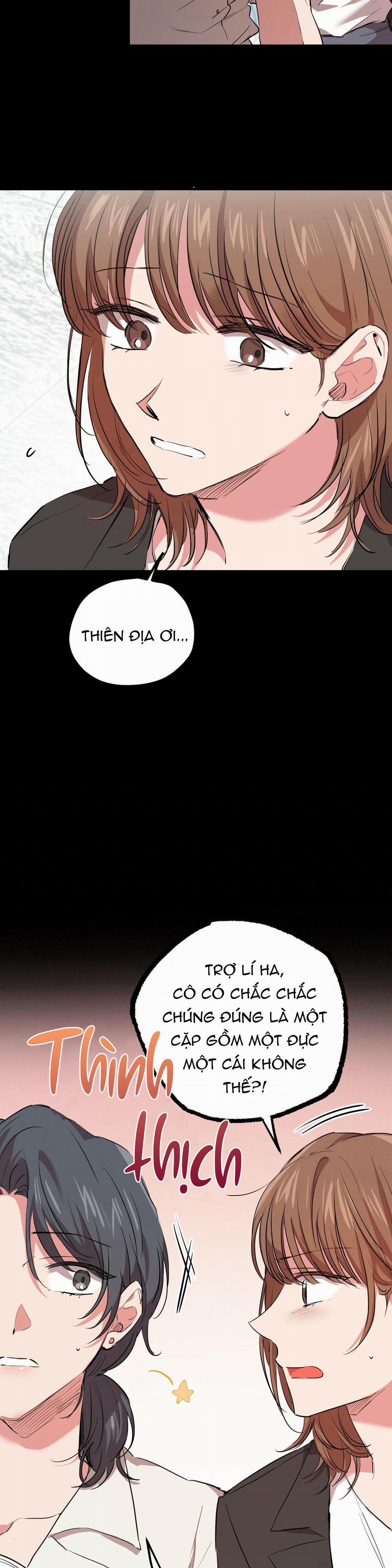 Những Chú Thỏ Của Habibi 30 trang 8