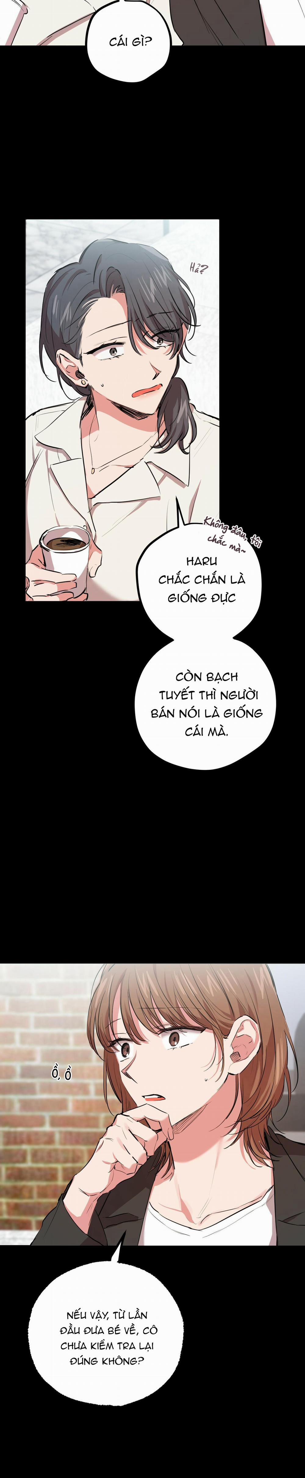 Những Chú Thỏ Của Habibi 30 trang 9