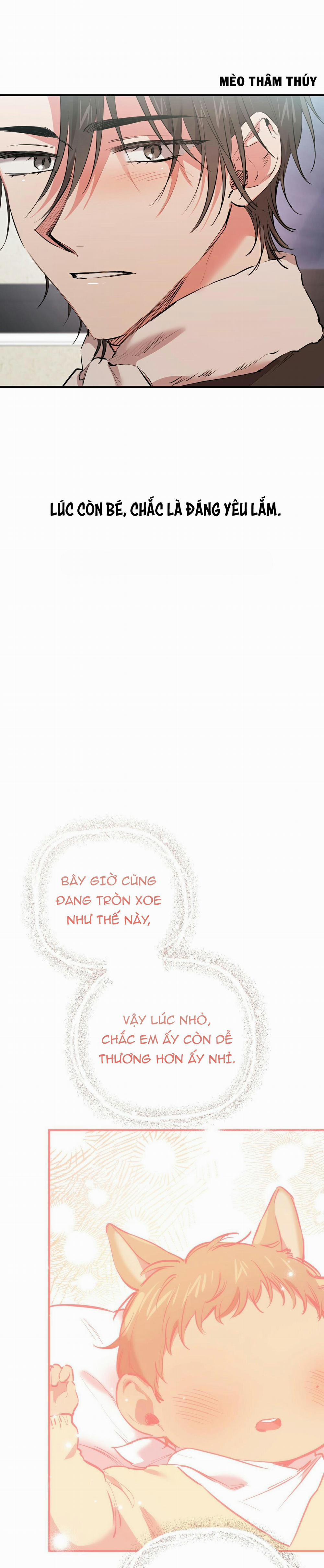 Những Chú Thỏ Của Habibi 31 trang 10