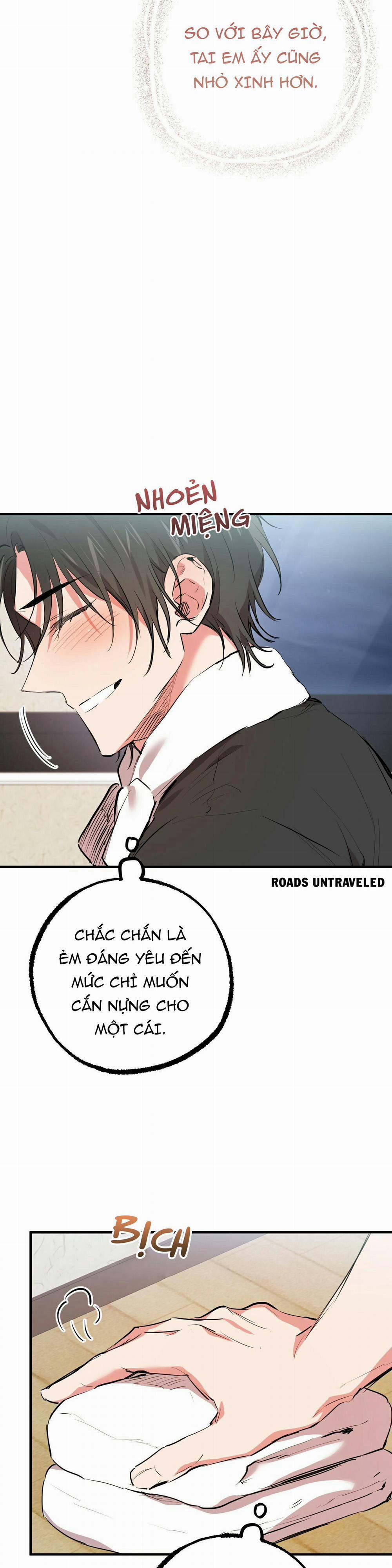 Những Chú Thỏ Của Habibi 31 trang 11