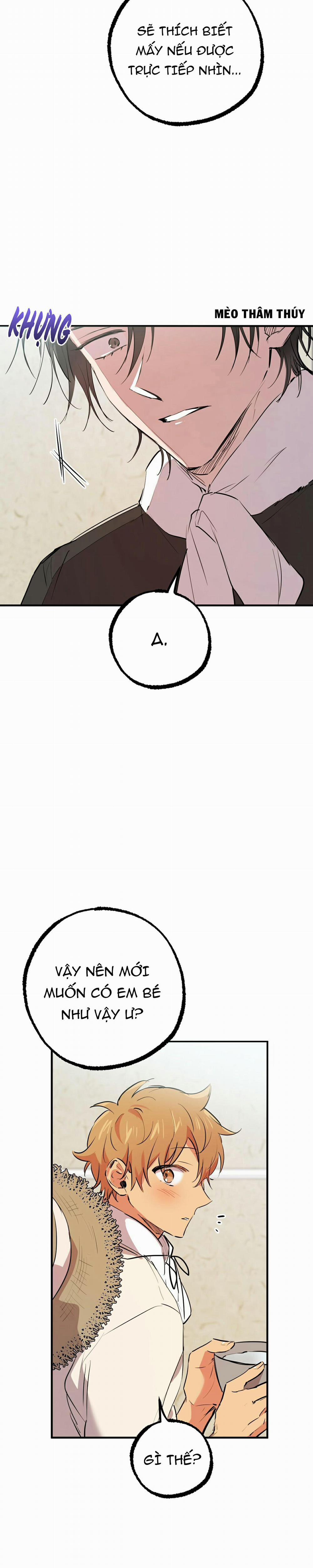 Những Chú Thỏ Của Habibi 31 trang 12