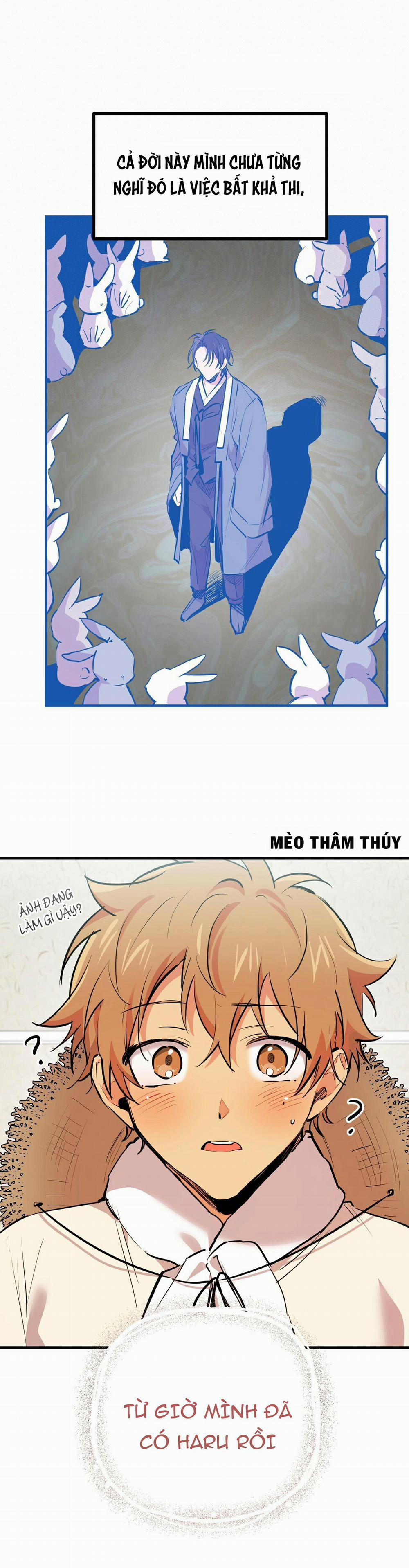 Những Chú Thỏ Của Habibi 31 trang 14