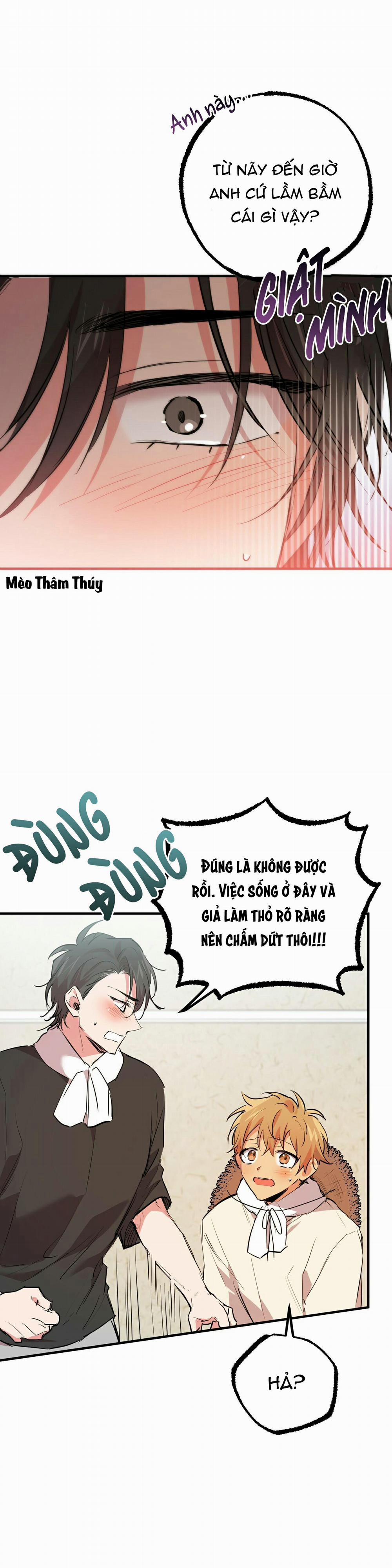 Những Chú Thỏ Của Habibi 31 trang 16