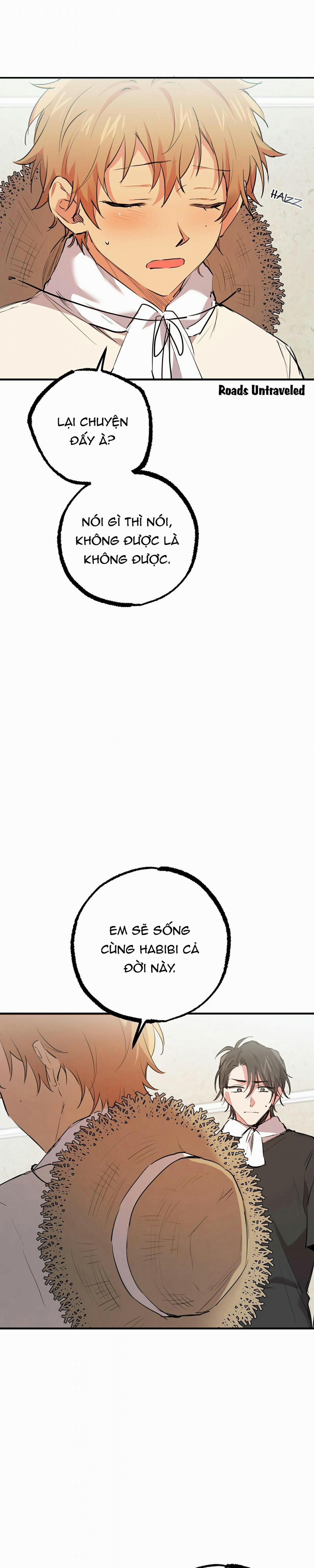 Những Chú Thỏ Của Habibi 31 trang 17