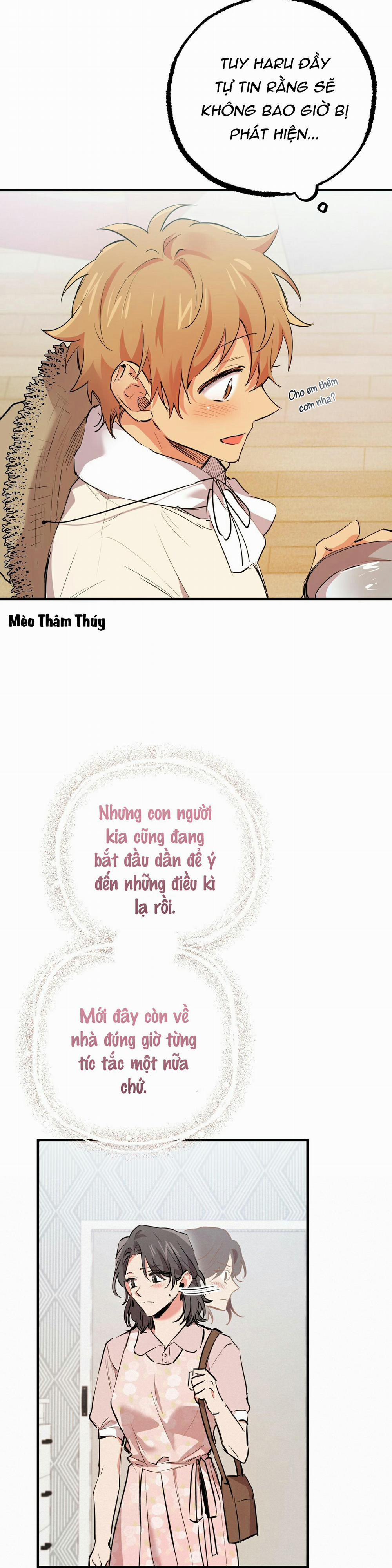 Những Chú Thỏ Của Habibi 31 trang 18