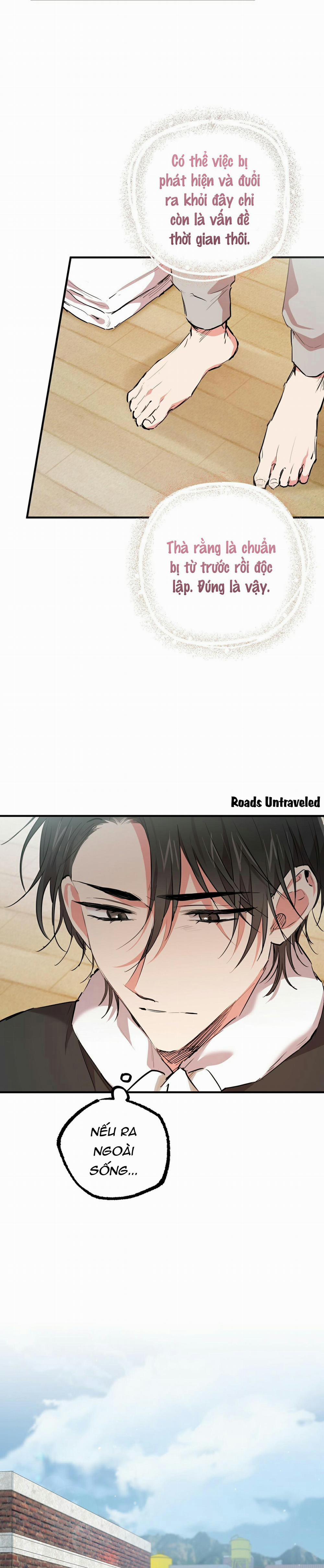 Những Chú Thỏ Của Habibi 31 trang 19