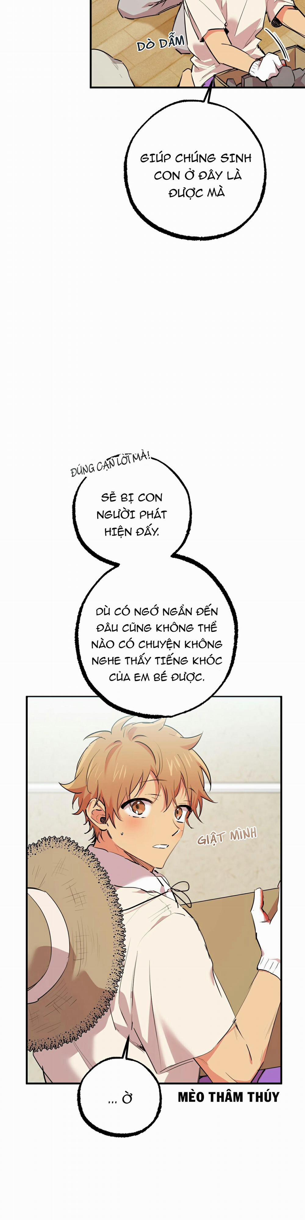 Những Chú Thỏ Của Habibi 31 trang 2