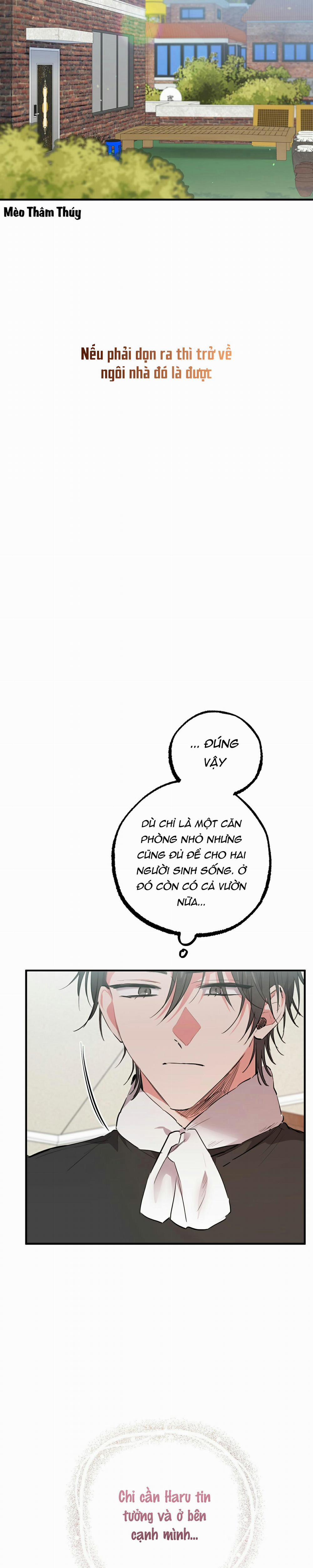 Những Chú Thỏ Của Habibi 31 trang 20