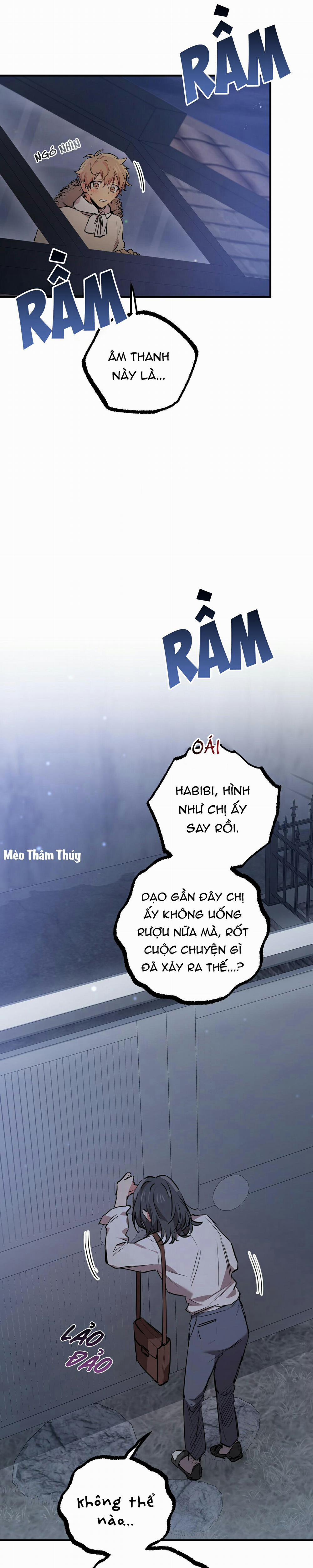 Những Chú Thỏ Của Habibi 31 trang 22