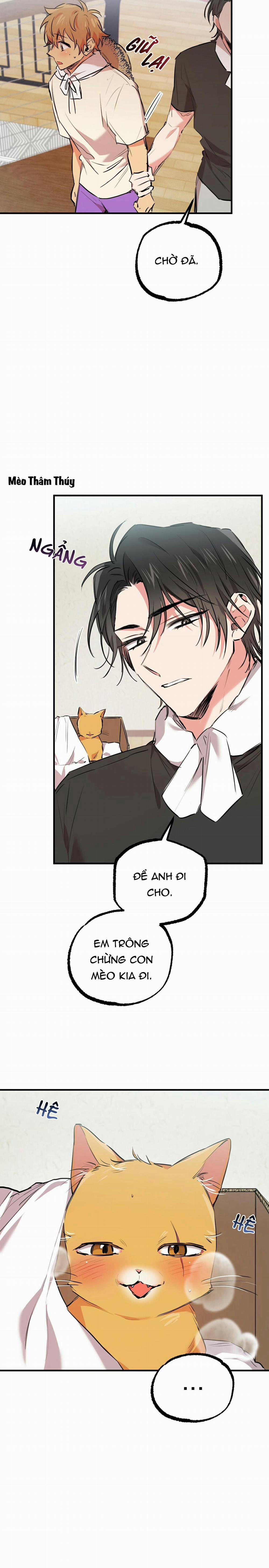 Những Chú Thỏ Của Habibi 31 trang 24