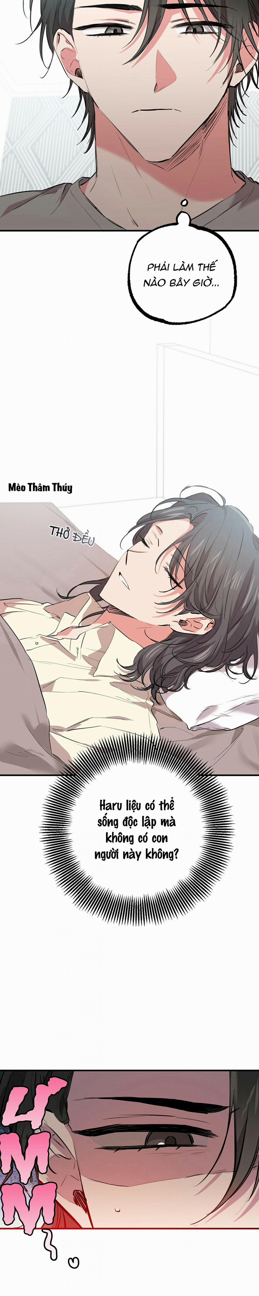 Những Chú Thỏ Của Habibi 31 trang 26