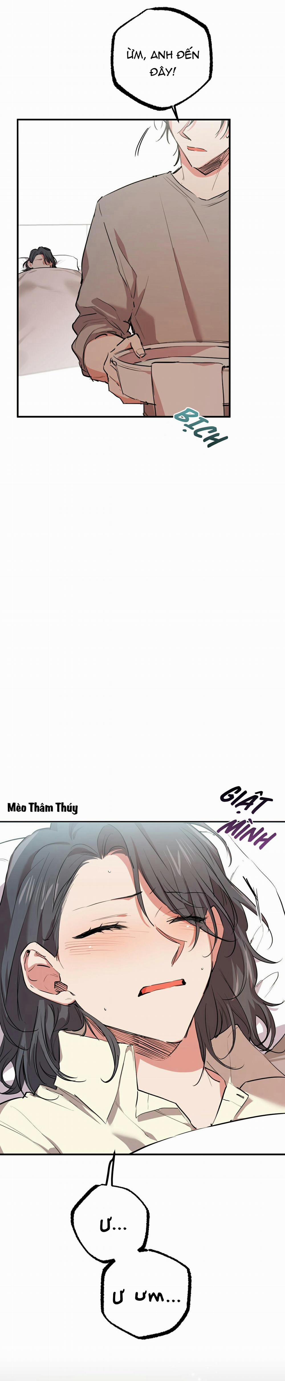 Những Chú Thỏ Của Habibi 31 trang 28