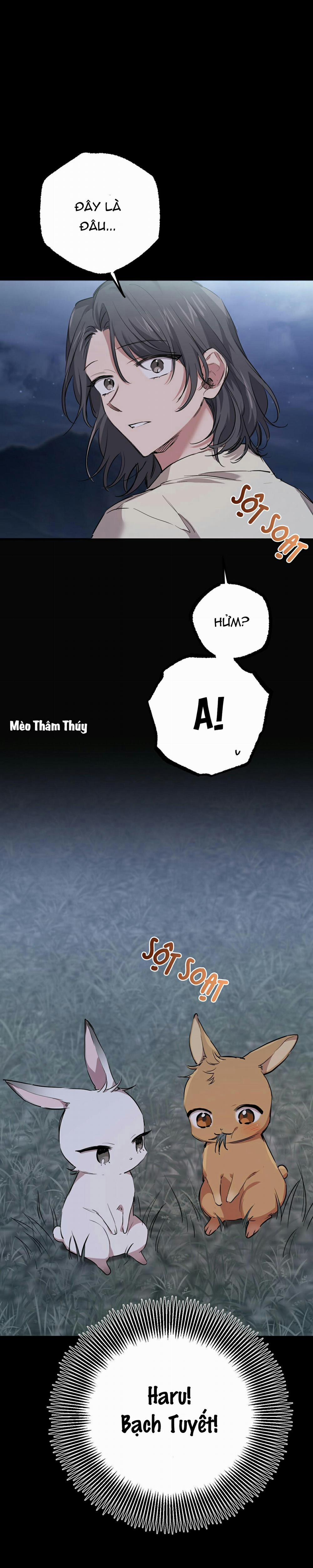 Những Chú Thỏ Của Habibi 31 trang 30