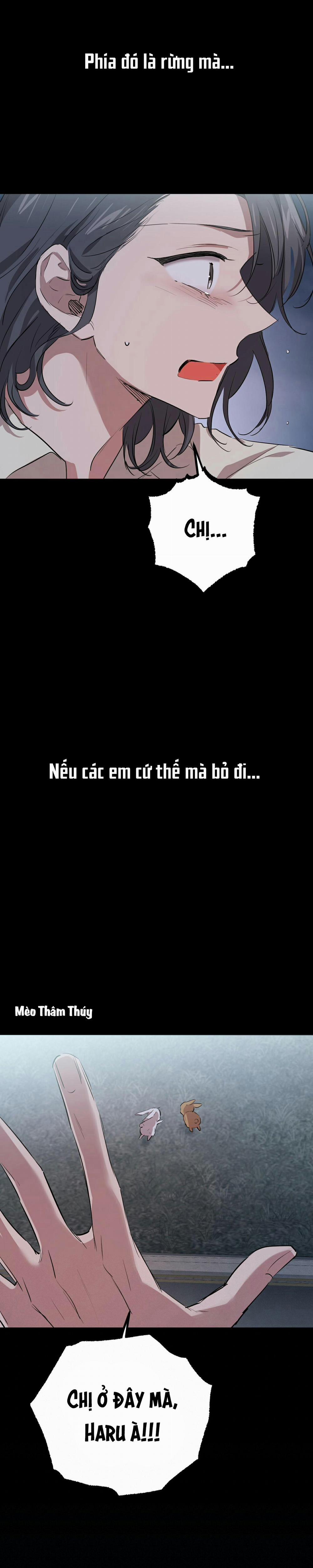 Những Chú Thỏ Của Habibi 31 trang 34