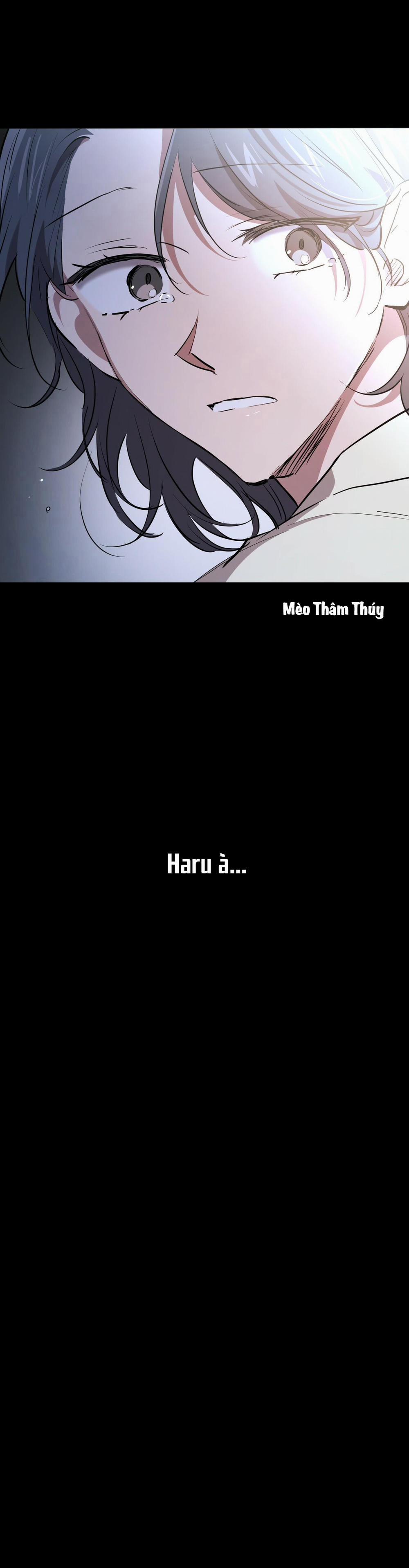 Những Chú Thỏ Của Habibi 31 trang 36