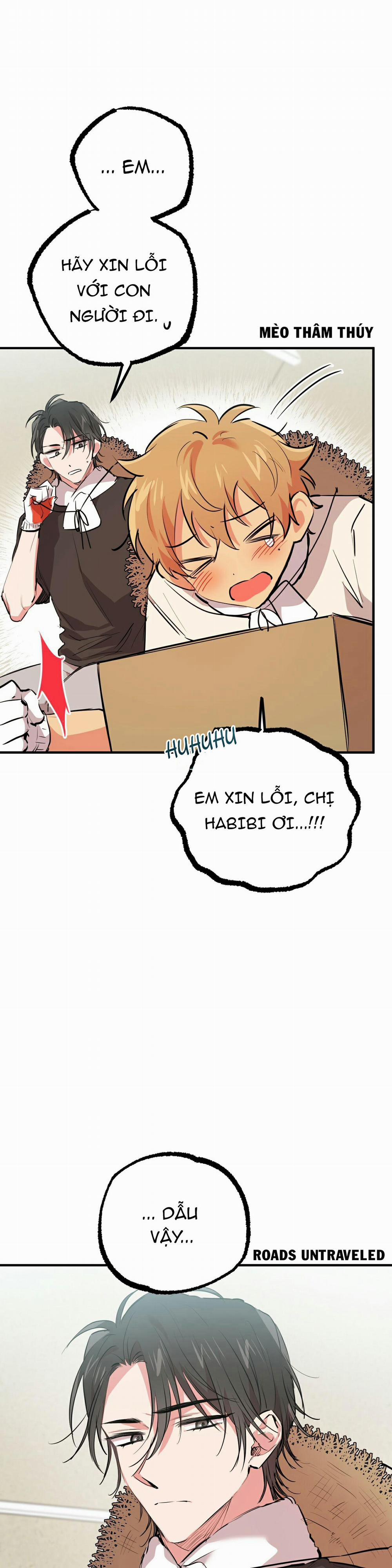 Những Chú Thỏ Của Habibi 31 trang 4