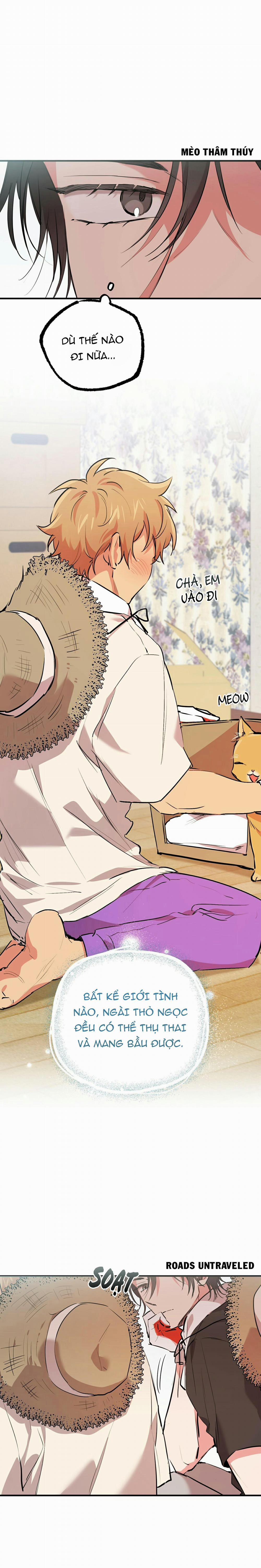 Những Chú Thỏ Của Habibi 31 trang 6