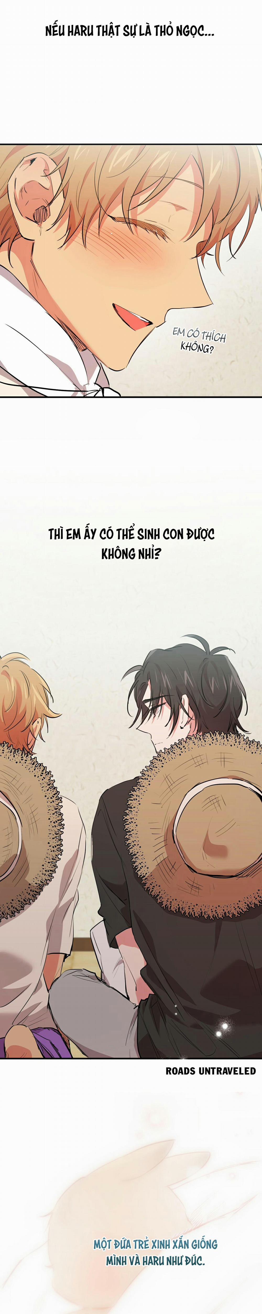 Những Chú Thỏ Của Habibi 31 trang 7