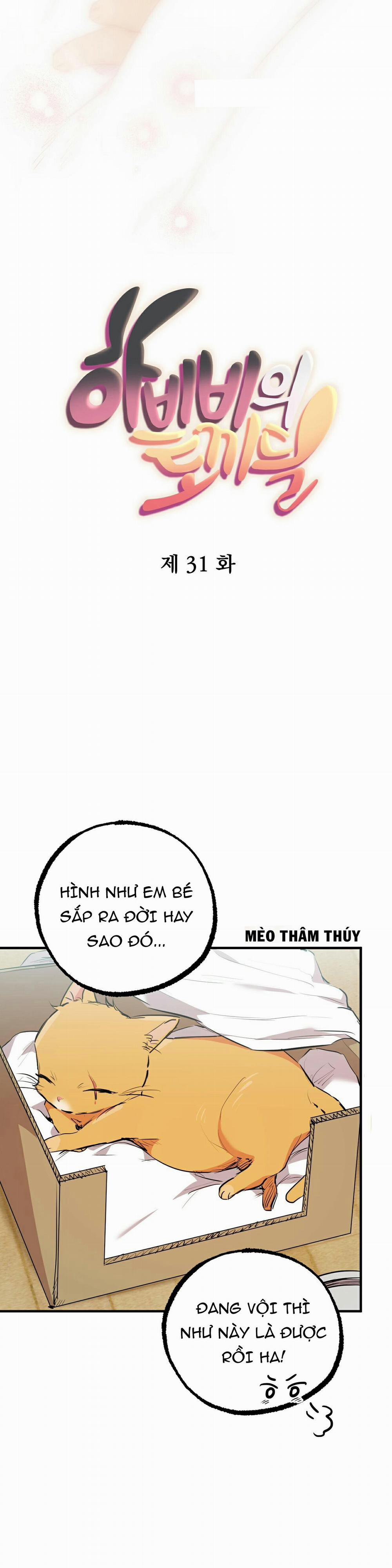 Những Chú Thỏ Của Habibi 31 trang 8