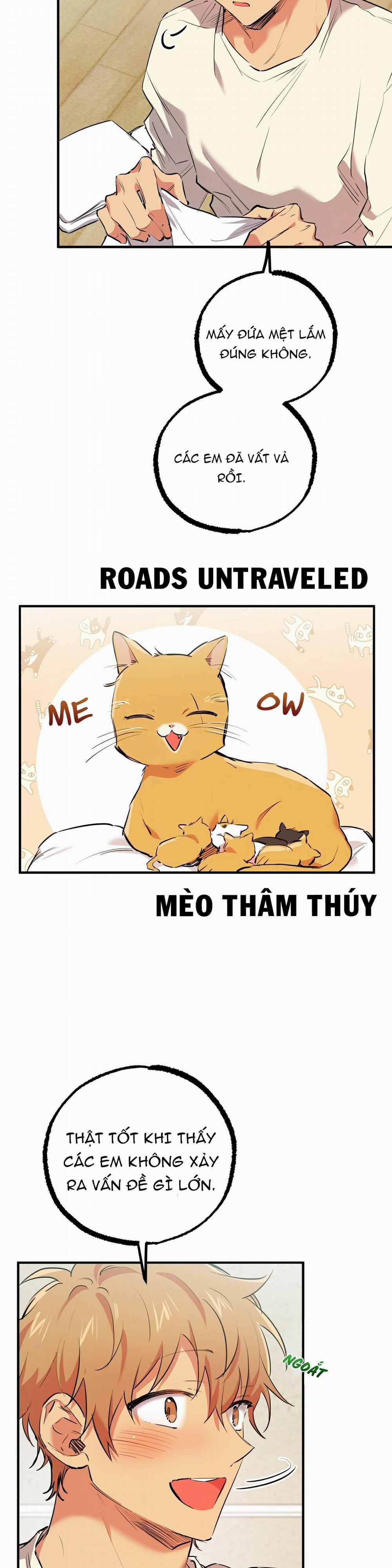 Những Chú Thỏ Của Habibi 32 trang 1