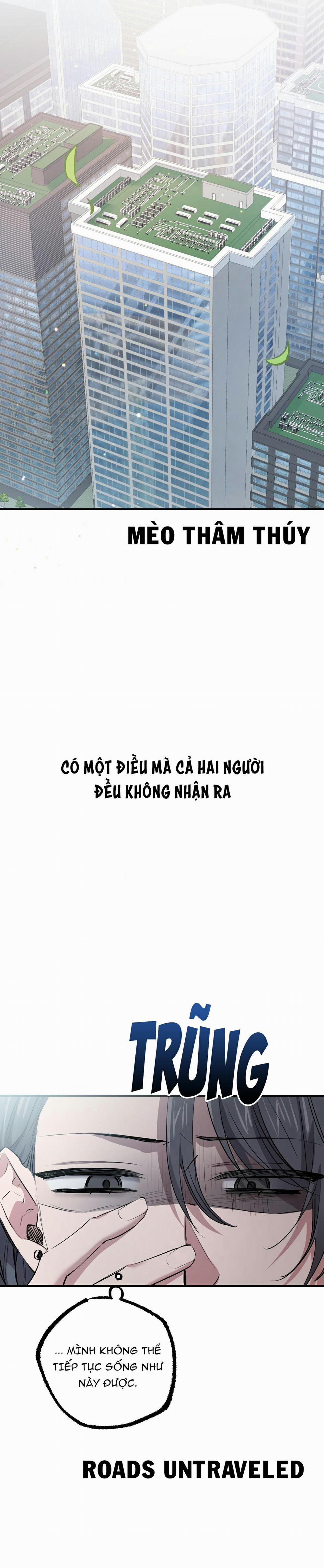 Những Chú Thỏ Của Habibi 32 trang 12