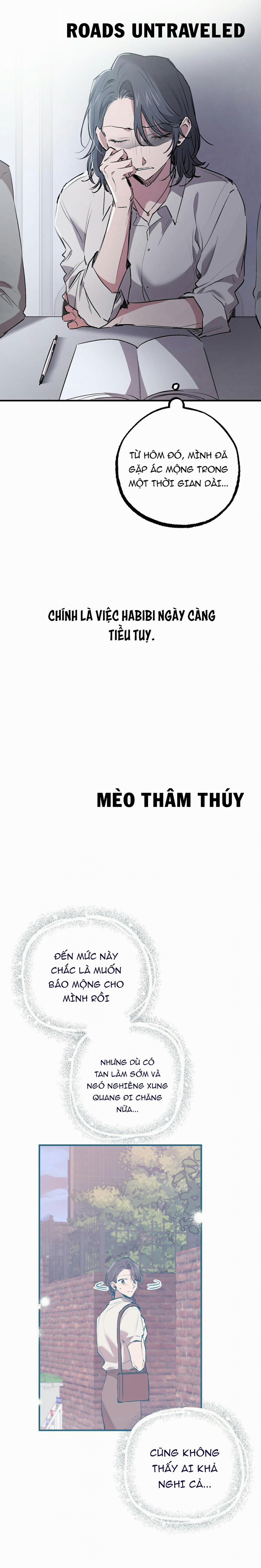 Những Chú Thỏ Của Habibi 32 trang 13