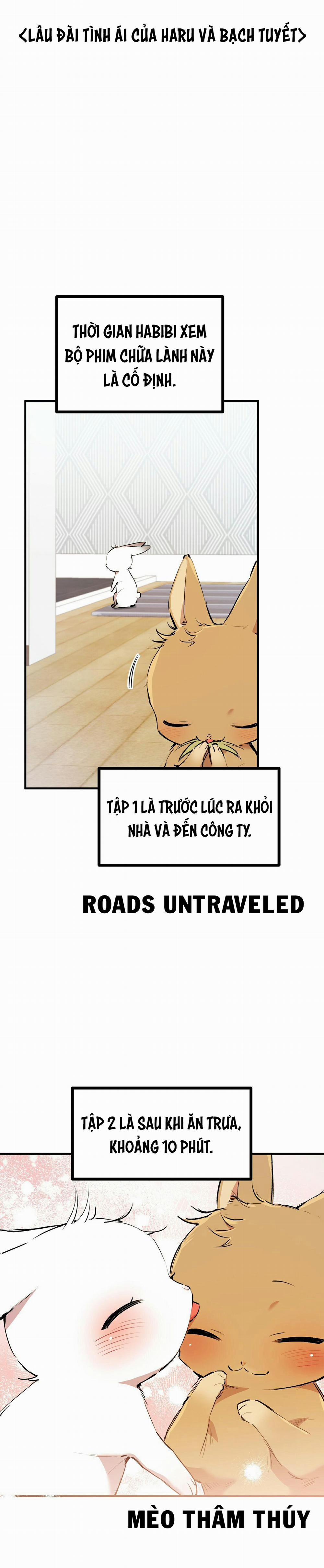 Những Chú Thỏ Của Habibi 32 trang 16