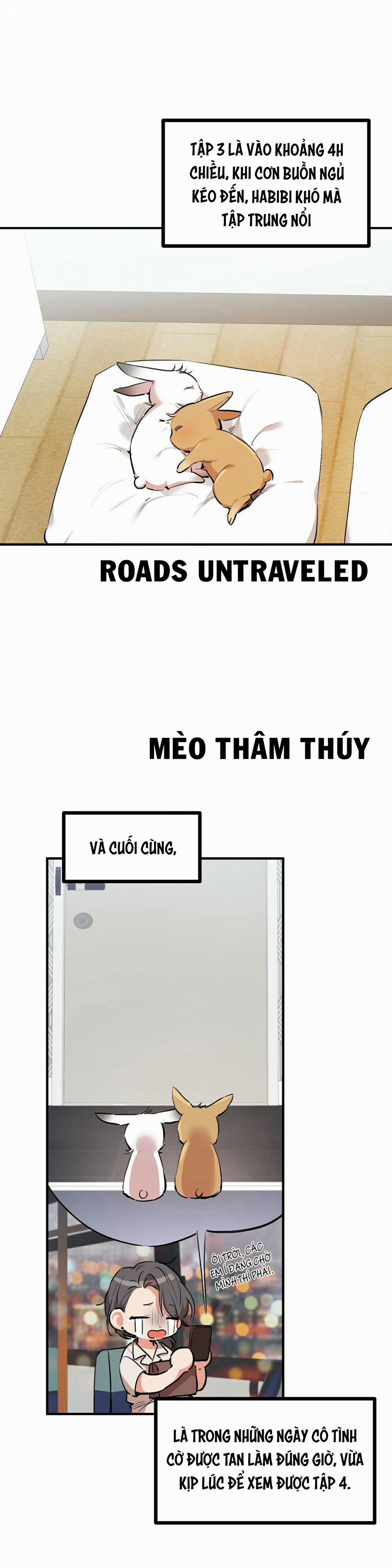 Những Chú Thỏ Của Habibi 32 trang 17