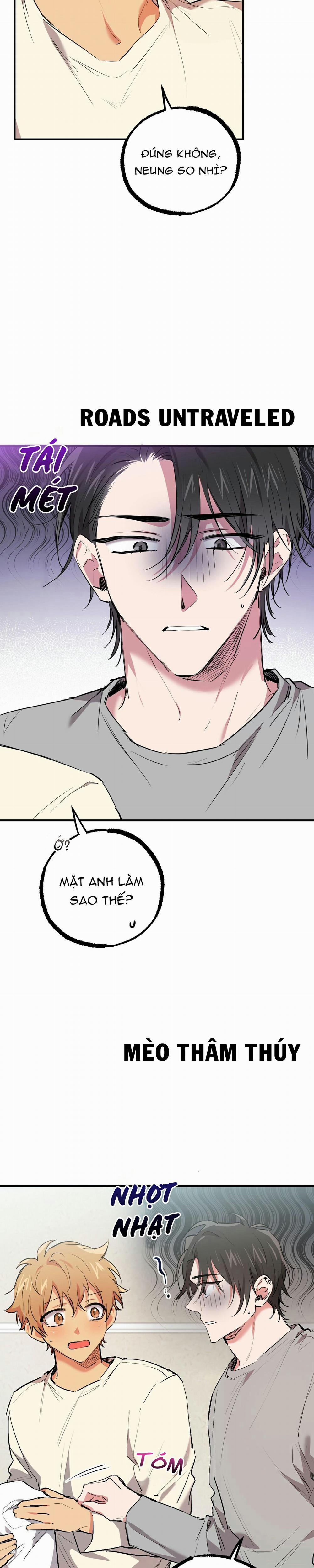 Những Chú Thỏ Của Habibi 32 trang 2