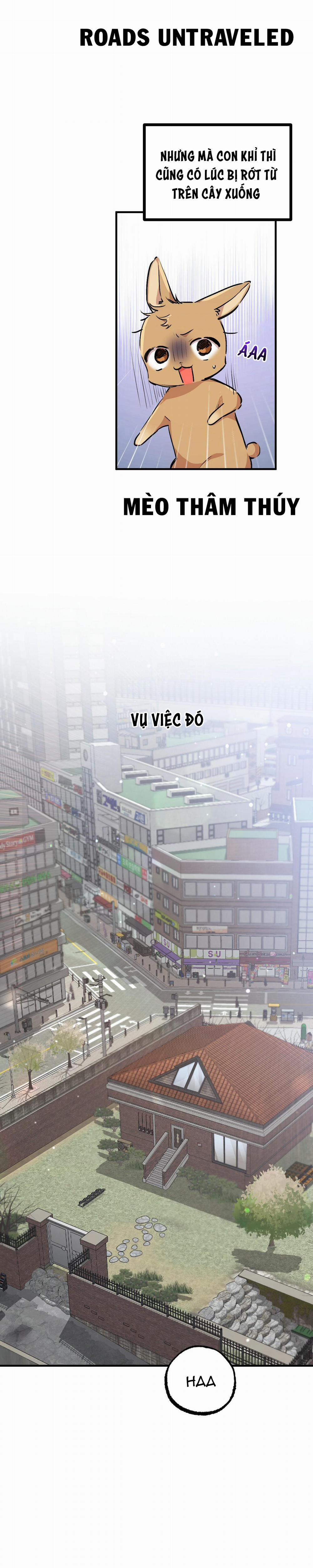 Những Chú Thỏ Của Habibi 32 trang 26