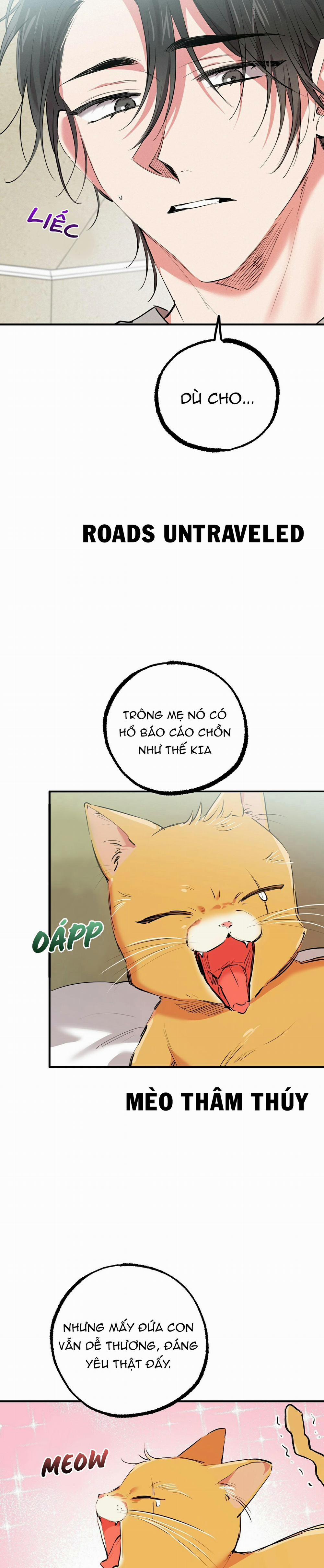 Những Chú Thỏ Của Habibi 32 trang 4