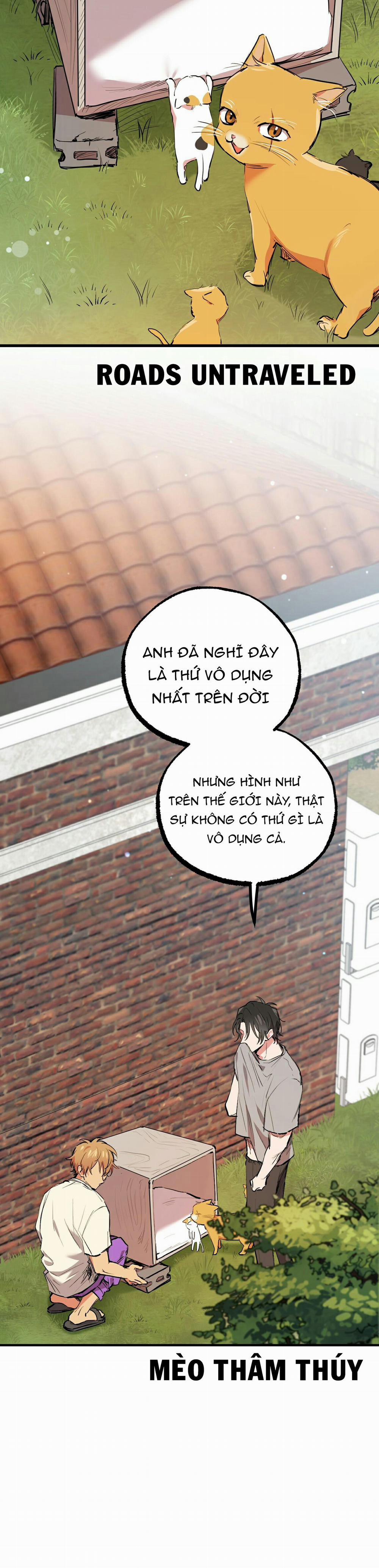 Những Chú Thỏ Của Habibi 32 trang 8