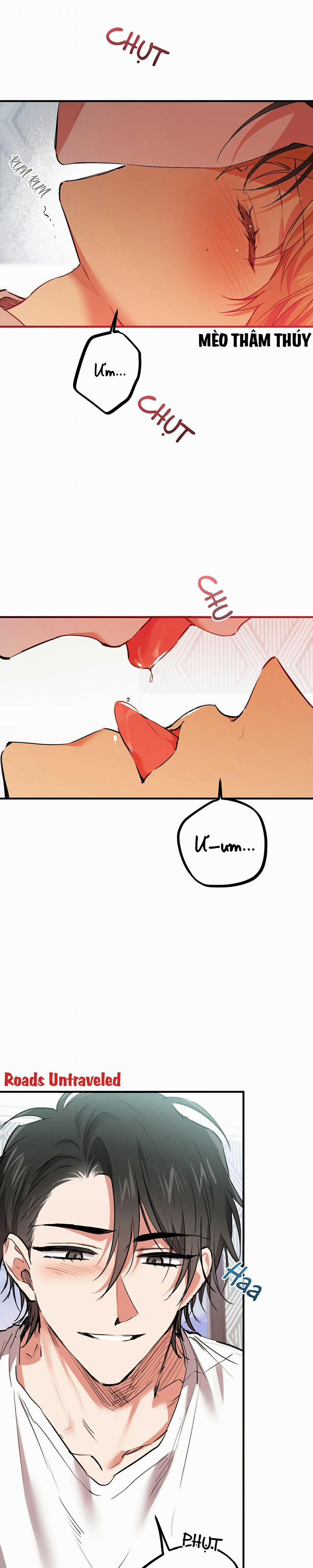 Những Chú Thỏ Của Habibi 33 trang 0