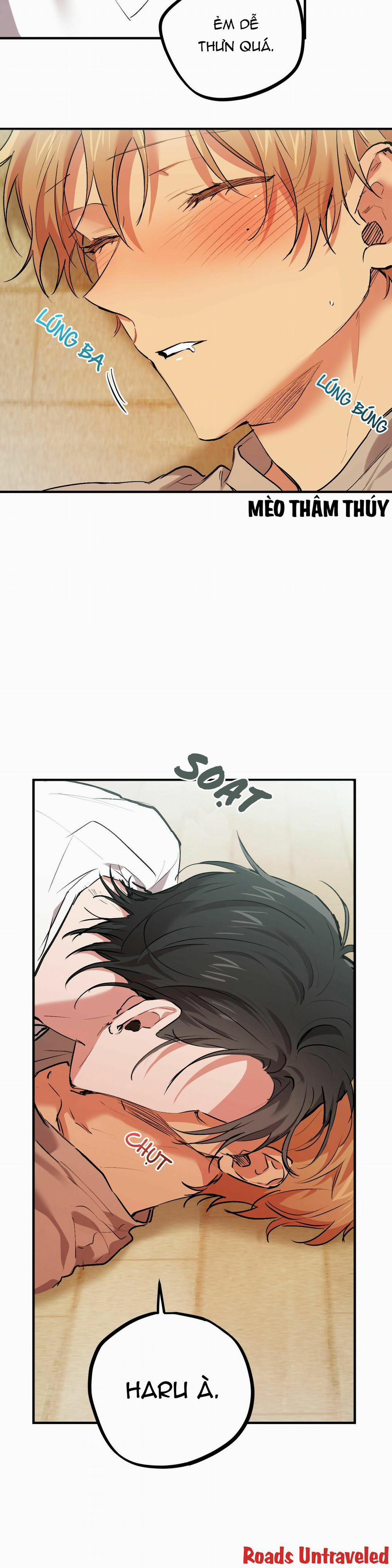 Những Chú Thỏ Của Habibi 33 trang 1