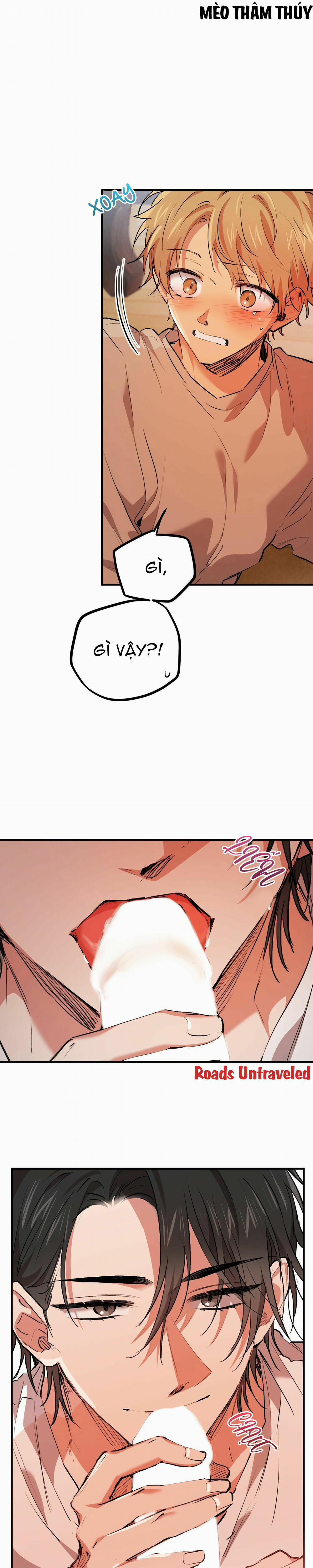 Những Chú Thỏ Của Habibi 33 trang 10