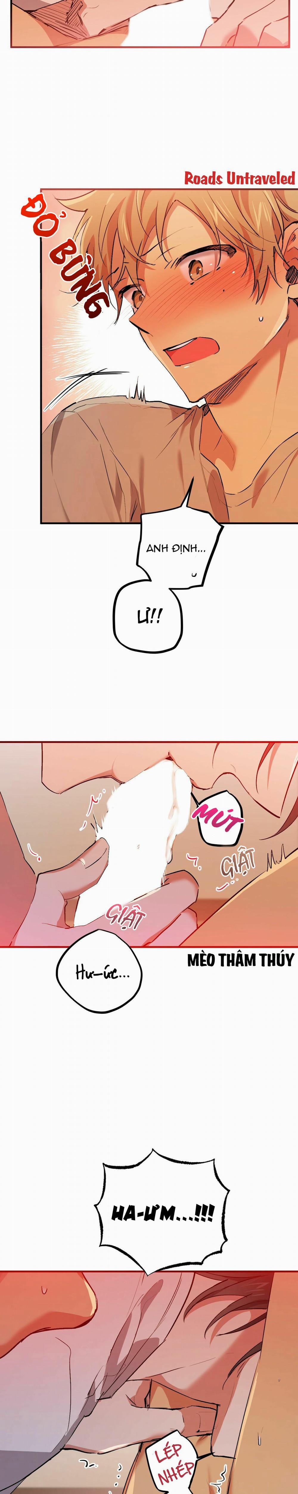 Những Chú Thỏ Của Habibi 33 trang 11