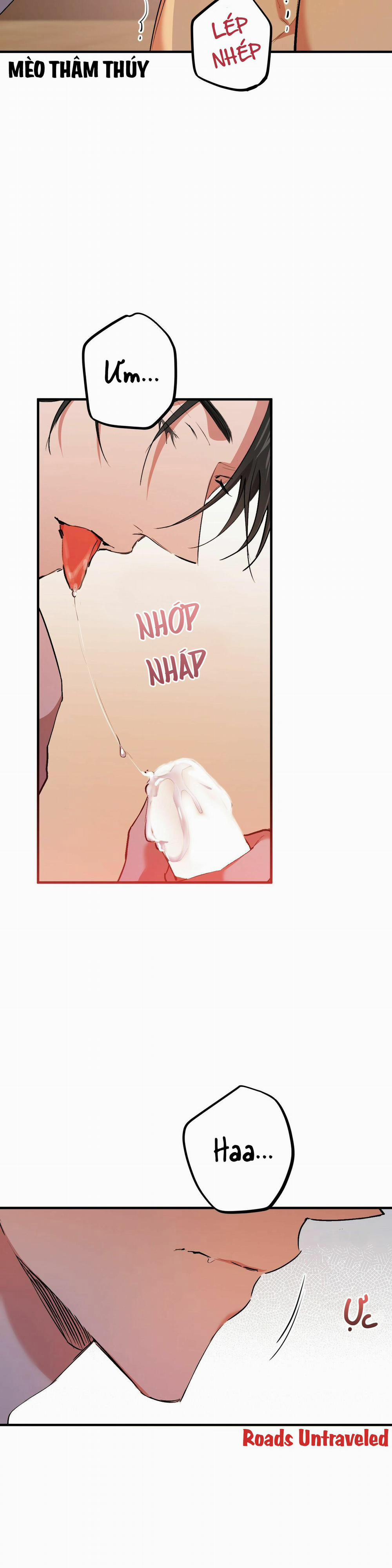 Những Chú Thỏ Của Habibi 33 trang 12